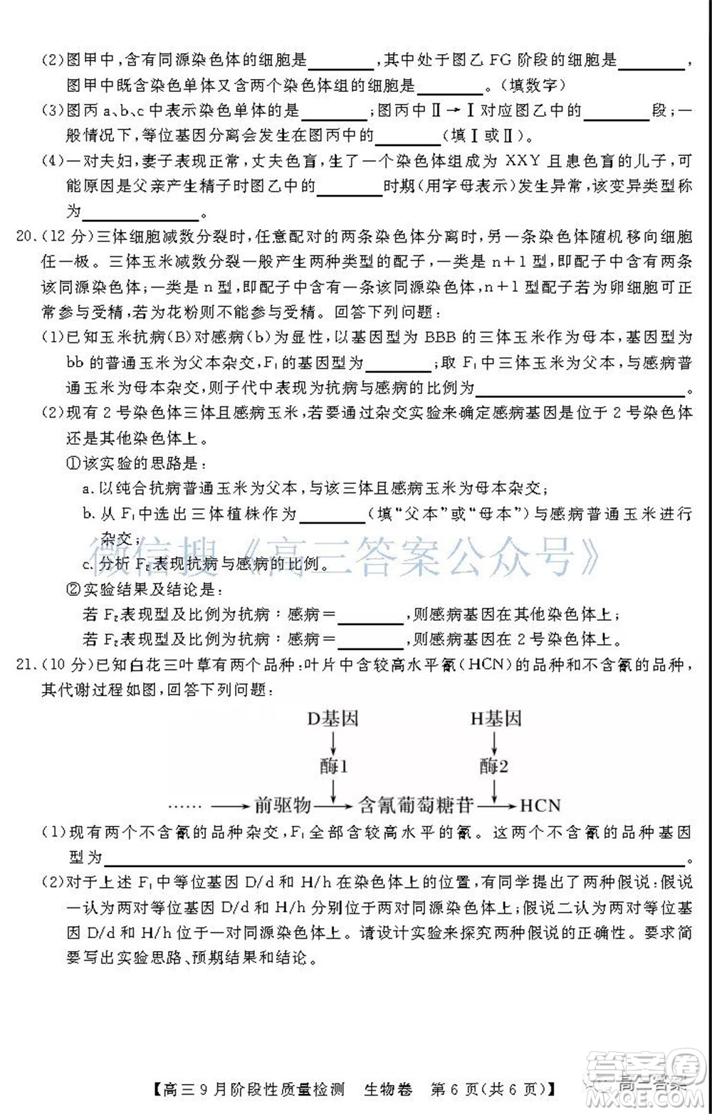 廣東省普通高中2022屆高三9月階段性質(zhì)量檢測生物試題及答案