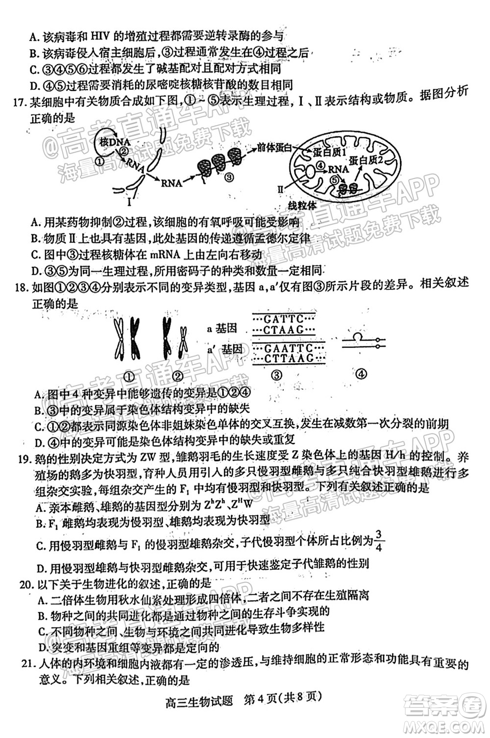 運(yùn)城市2021年高三年級(jí)摸底調(diào)研測(cè)試生物試卷及答案