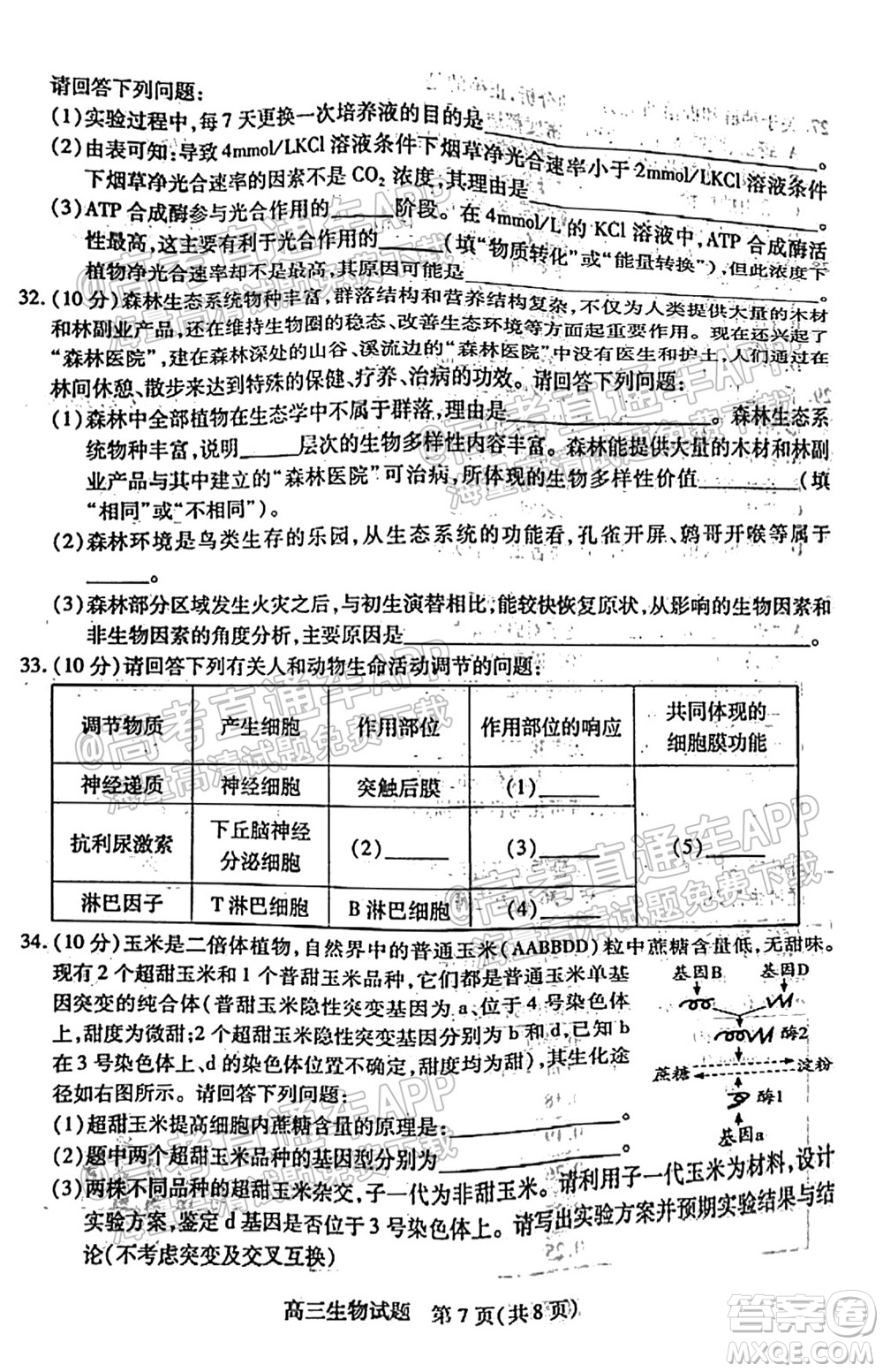 運(yùn)城市2021年高三年級(jí)摸底調(diào)研測(cè)試生物試卷及答案