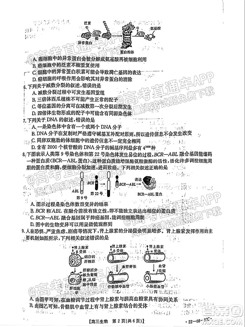 2022屆邢臺(tái)市高三入學(xué)考試生物試題及答案