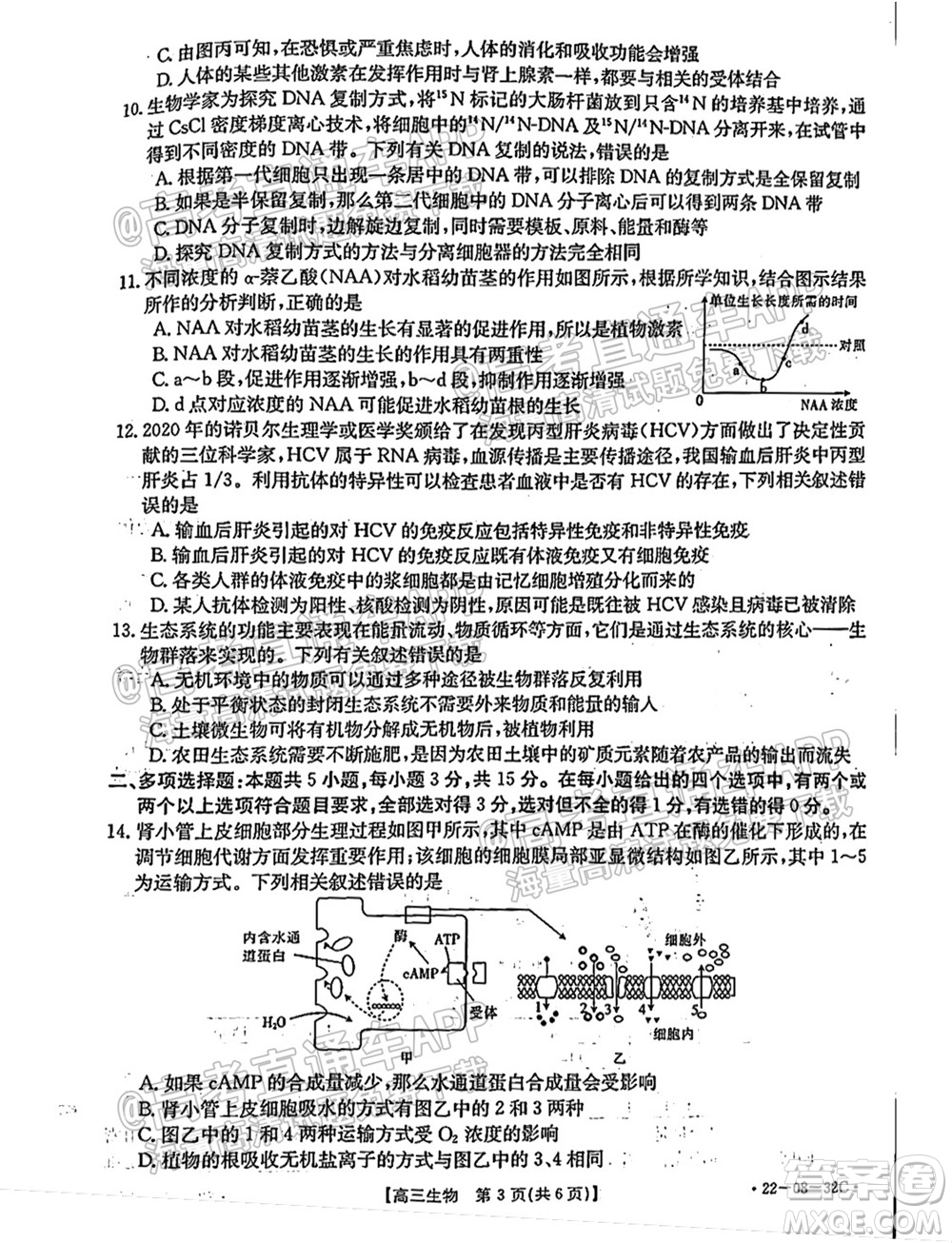 2022屆邢臺(tái)市高三入學(xué)考試生物試題及答案