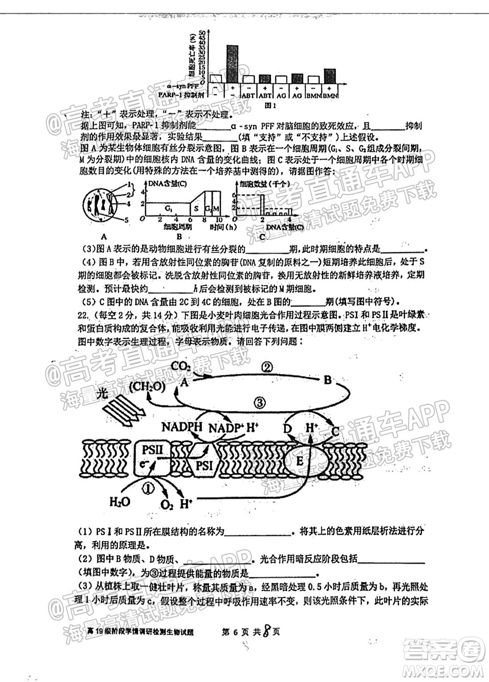 臨沂高19級階段學(xué)情調(diào)研生物試卷及答案