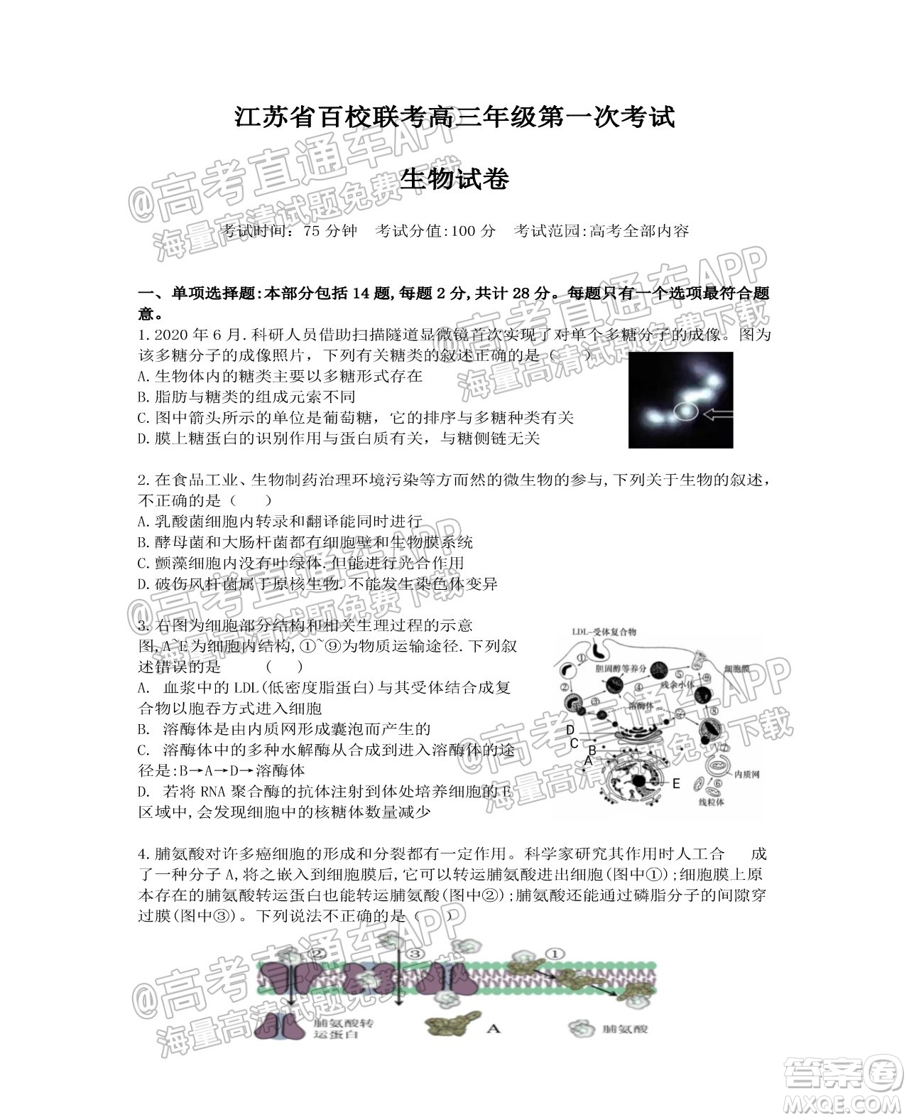 江蘇省2022屆百校聯(lián)考高三年級(jí)第一次考試生物試題及答案