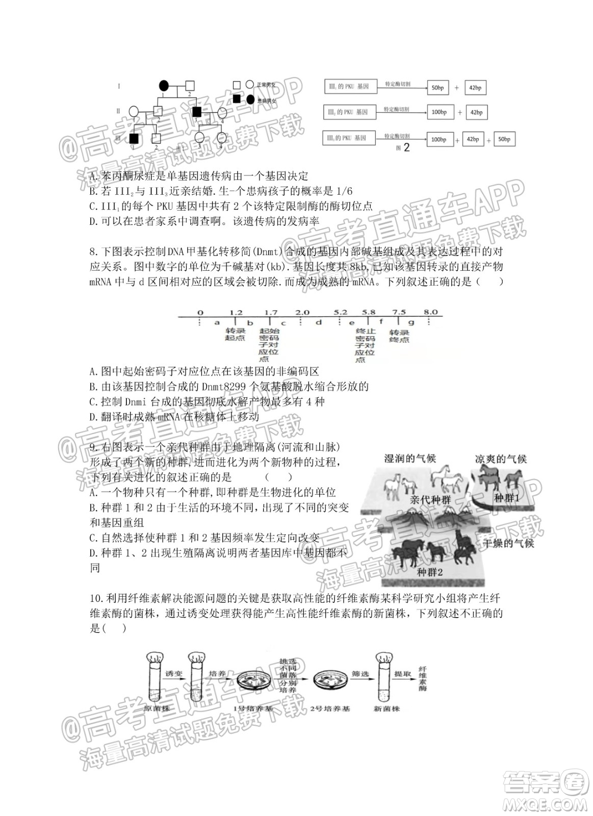 江蘇省2022屆百校聯(lián)考高三年級(jí)第一次考試生物試題及答案