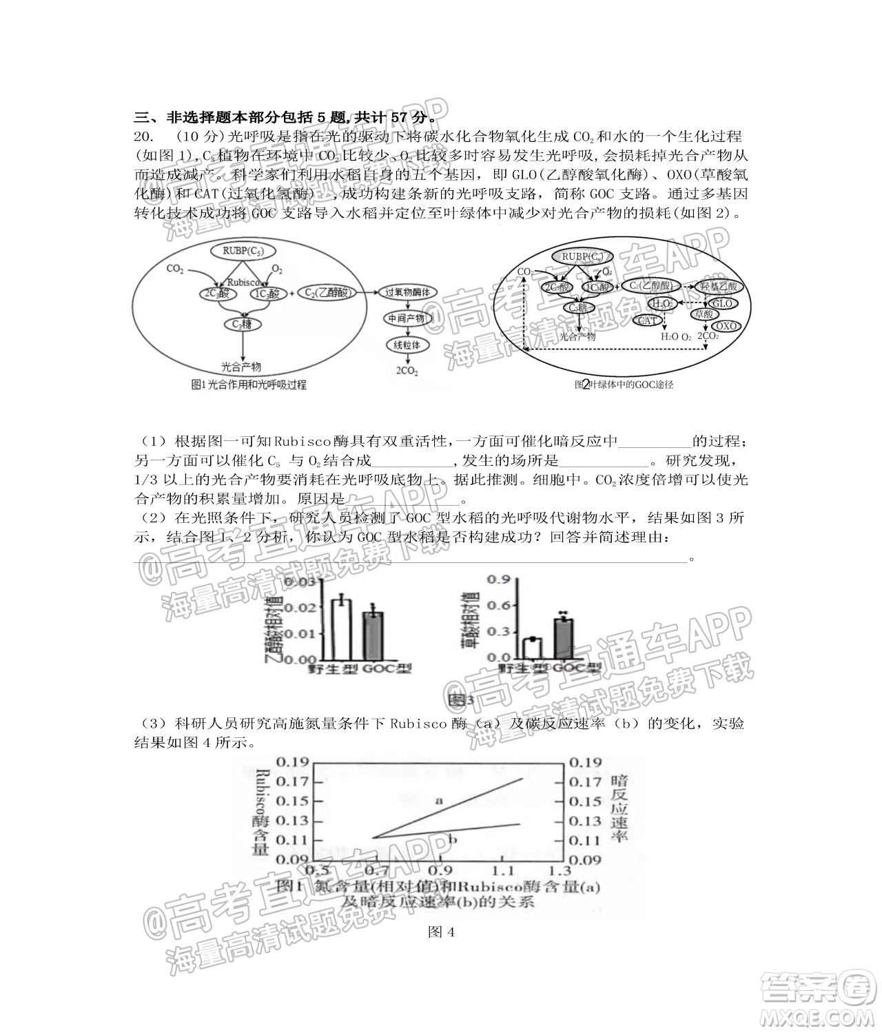 江蘇省2022屆百校聯(lián)考高三年級(jí)第一次考試生物試題及答案