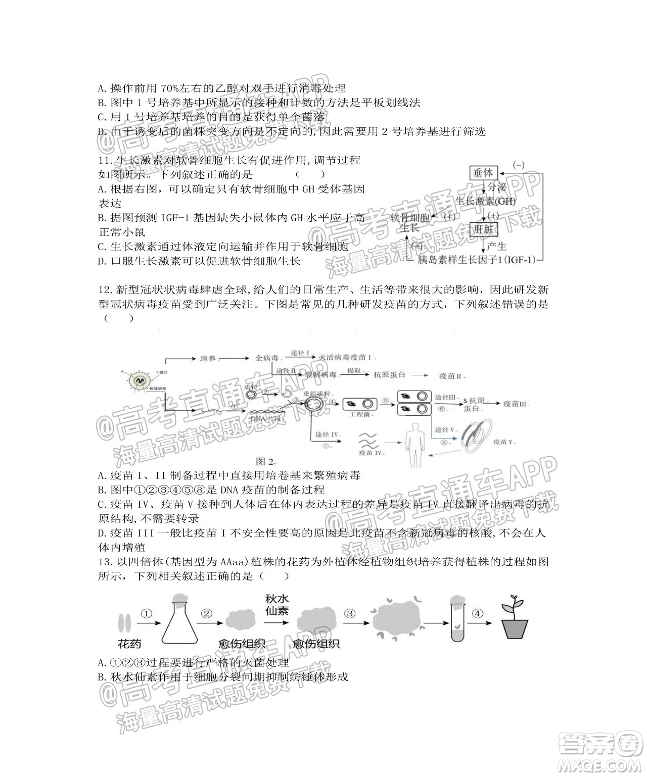 江蘇省2022屆百校聯(lián)考高三年級(jí)第一次考試生物試題及答案