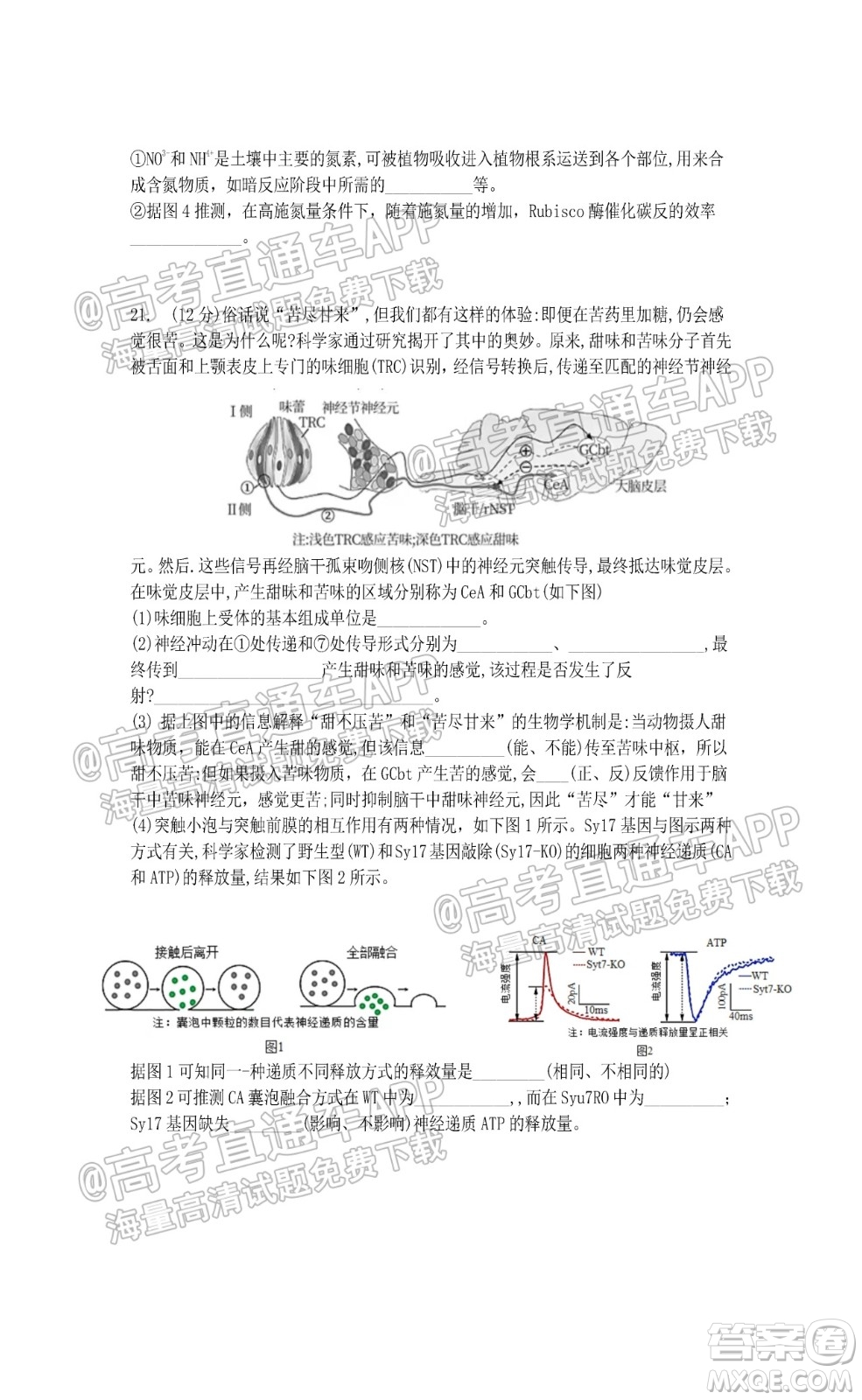 江蘇省2022屆百校聯(lián)考高三年級(jí)第一次考試生物試題及答案