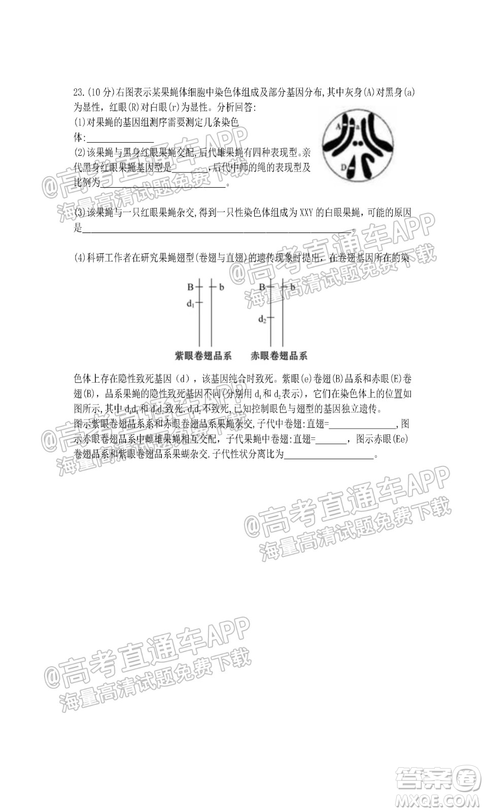 江蘇省2022屆百校聯(lián)考高三年級(jí)第一次考試生物試題及答案