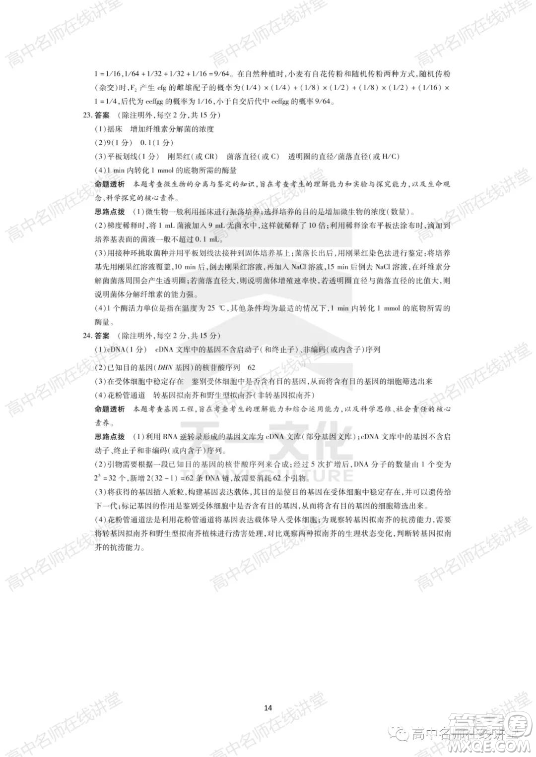 天一大聯(lián)考2021-2022學(xué)年高中畢業(yè)班階段性測試一生物試題及答案