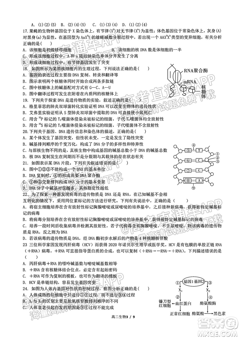 成都外國語學(xué)校2021-2022上期高二入學(xué)考試生物試題及答案