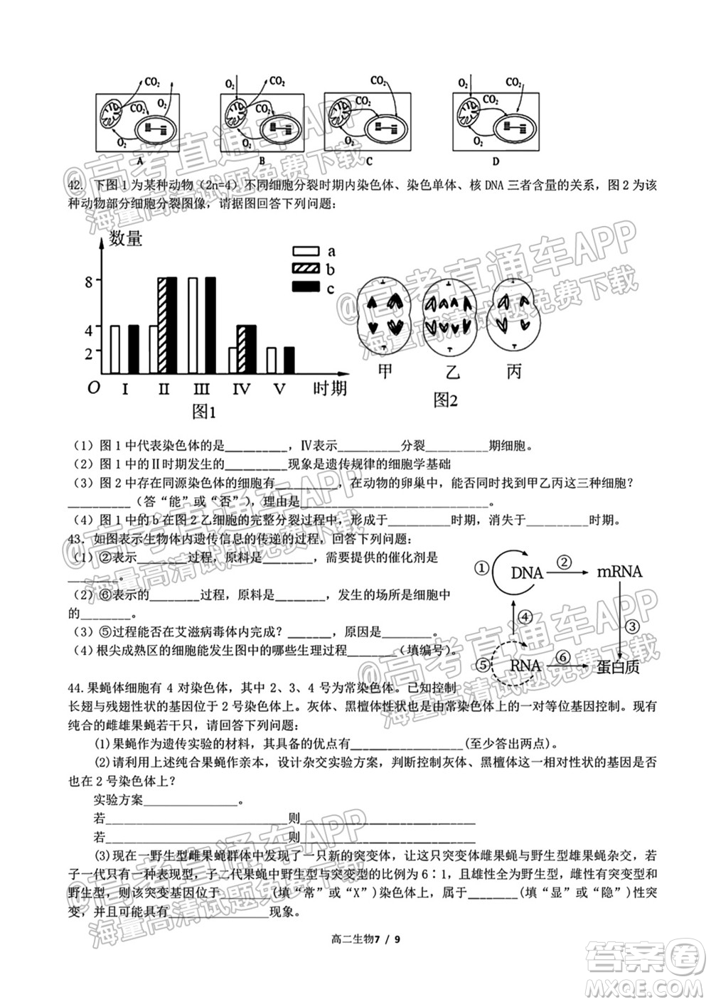 成都外國語學(xué)校2021-2022上期高二入學(xué)考試生物試題及答案