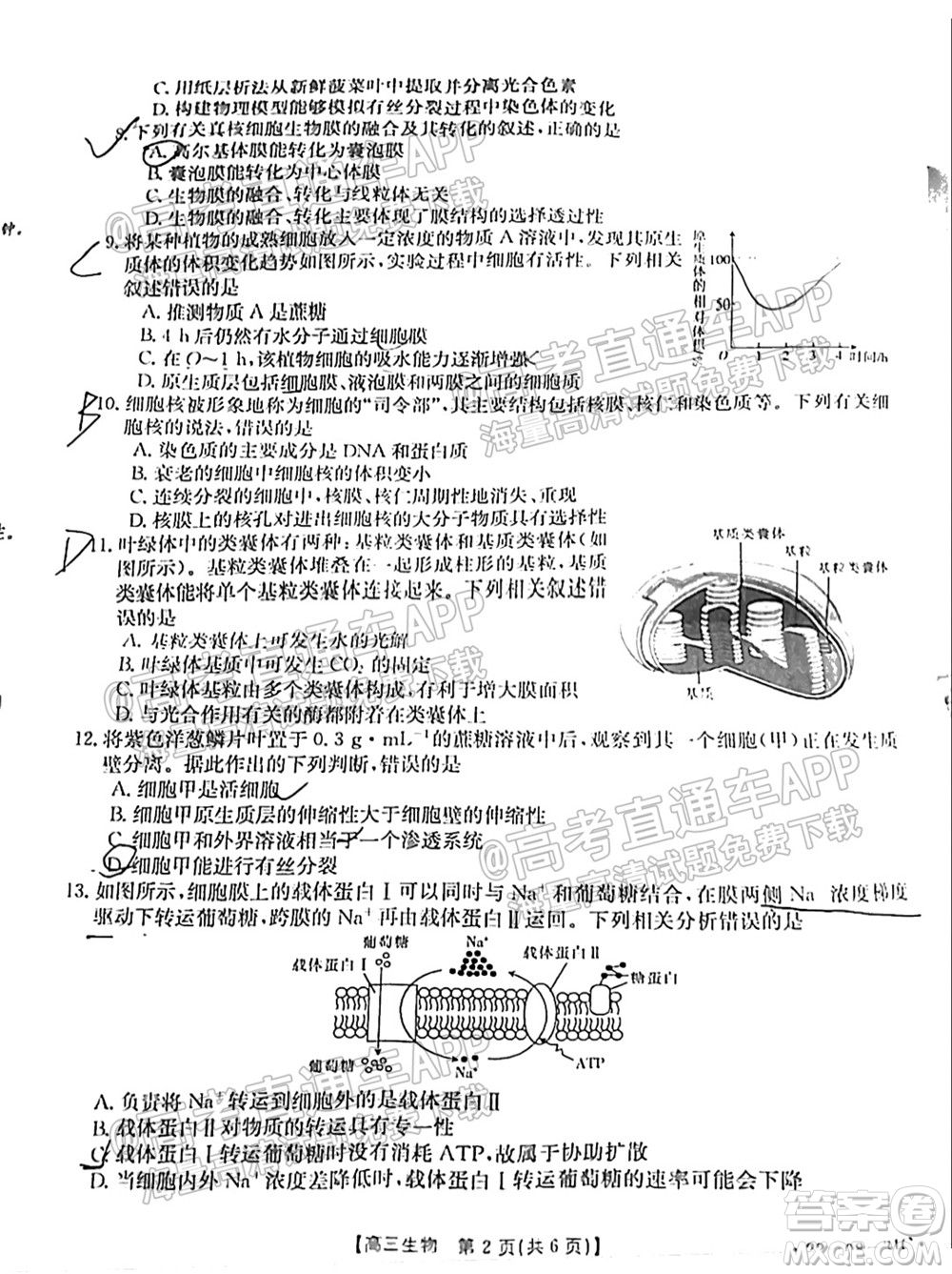 2022屆貴州金太陽(yáng)高三9月聯(lián)考生物試題及答案