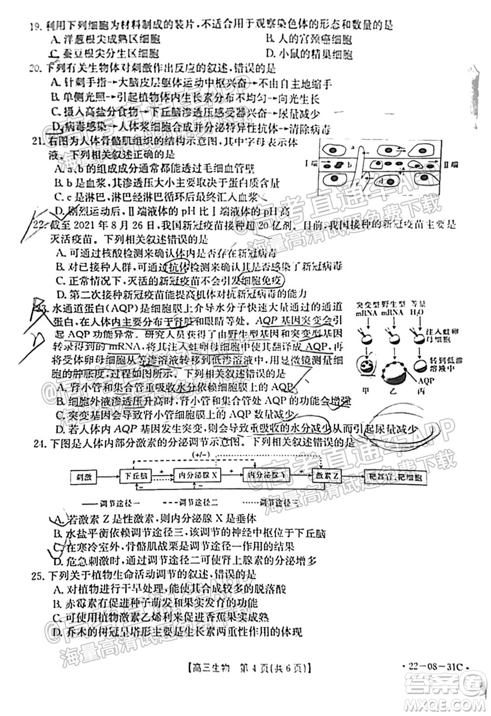 2022屆貴州金太陽(yáng)高三9月聯(lián)考生物試題及答案