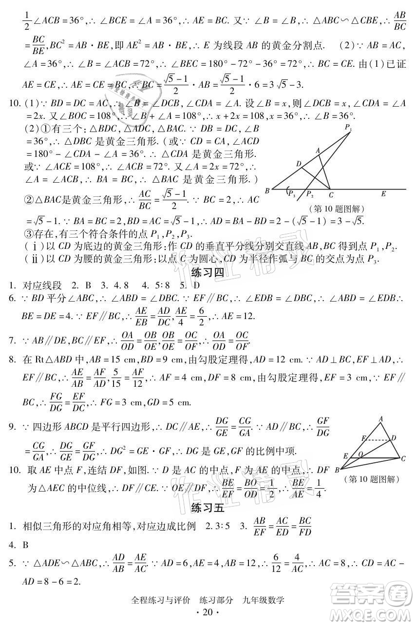 浙江人民出版社2021全程練習(xí)與評(píng)價(jià)九年級(jí)全一冊數(shù)學(xué)浙教版答案