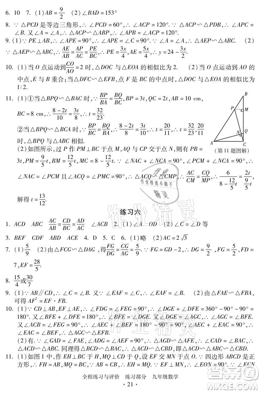 浙江人民出版社2021全程練習(xí)與評(píng)價(jià)九年級(jí)全一冊數(shù)學(xué)浙教版答案