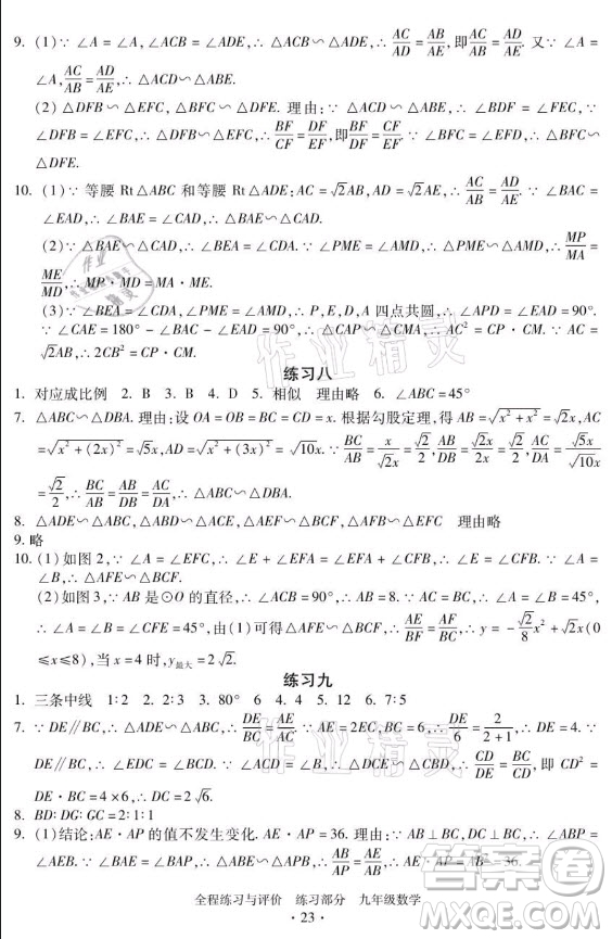 浙江人民出版社2021全程練習(xí)與評(píng)價(jià)九年級(jí)全一冊數(shù)學(xué)浙教版答案