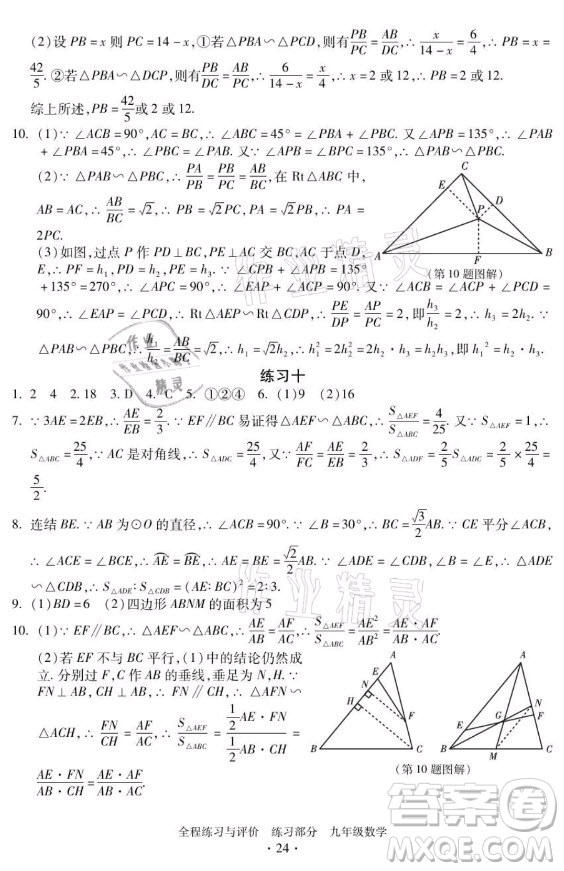 浙江人民出版社2021全程練習(xí)與評(píng)價(jià)九年級(jí)全一冊數(shù)學(xué)浙教版答案