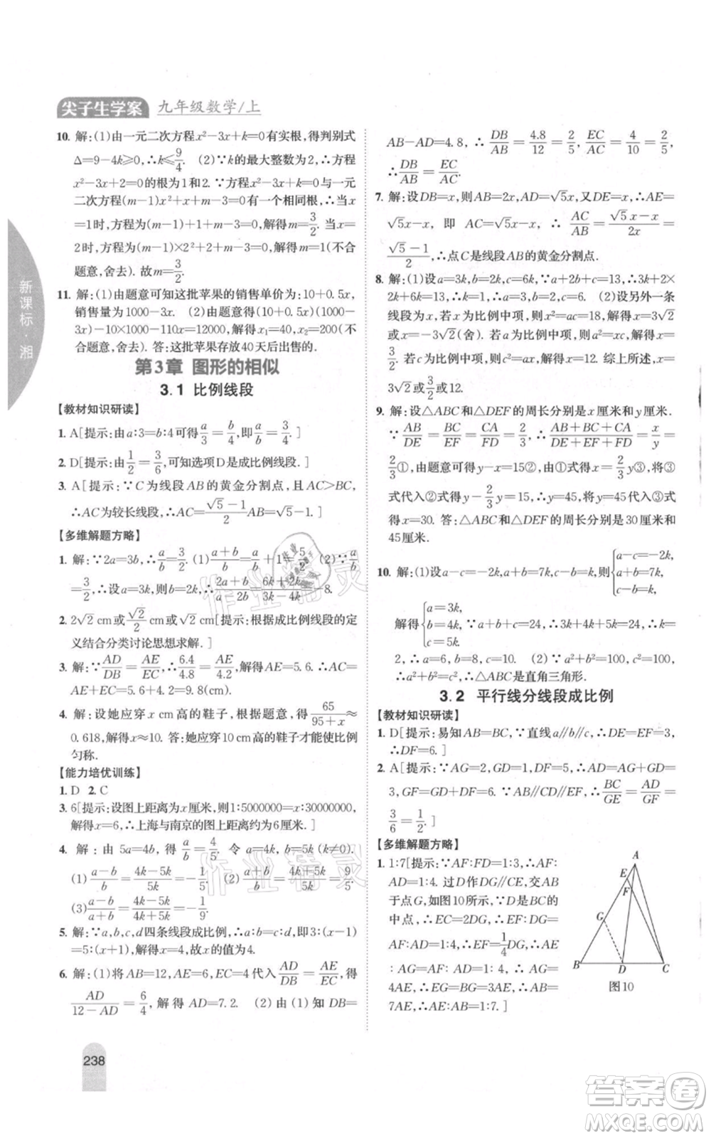 吉林人民出版社2021尖子生學(xué)案九年級(jí)上冊(cè)數(shù)學(xué)湘教版參考答案