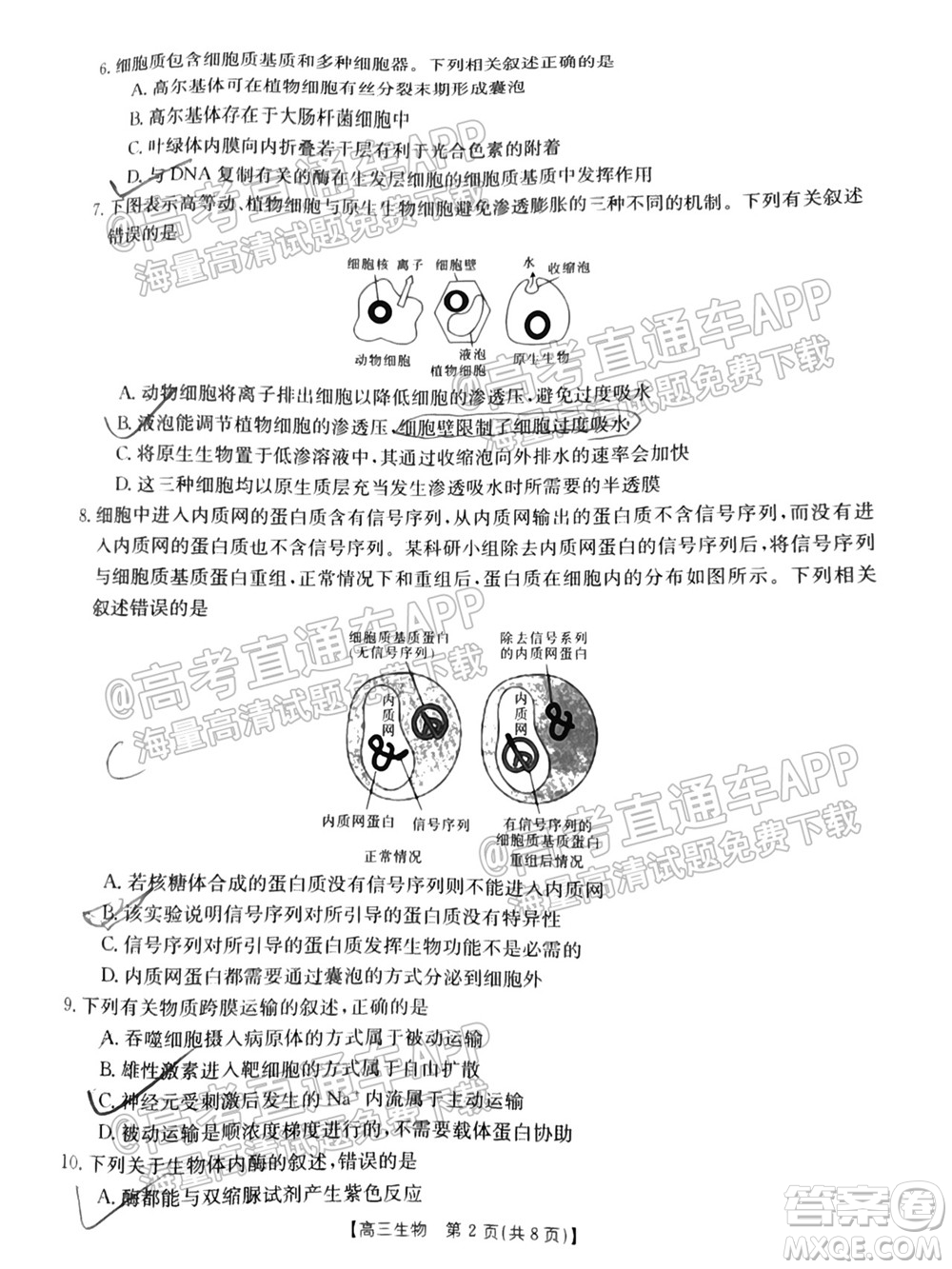 2022屆吉林金太陽高三9月聯(lián)考生物試題及答案