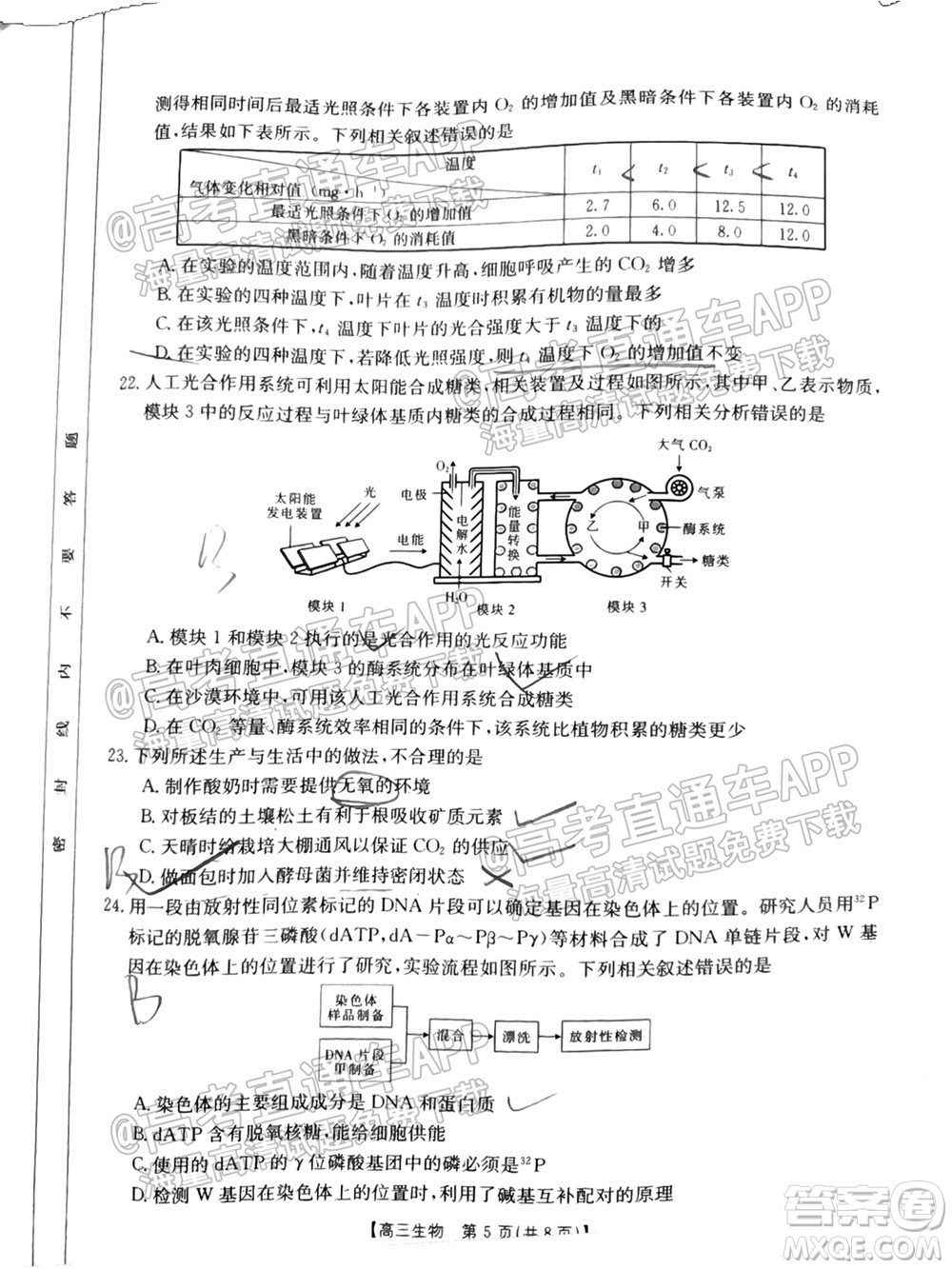 2022屆吉林金太陽高三9月聯(lián)考生物試題及答案