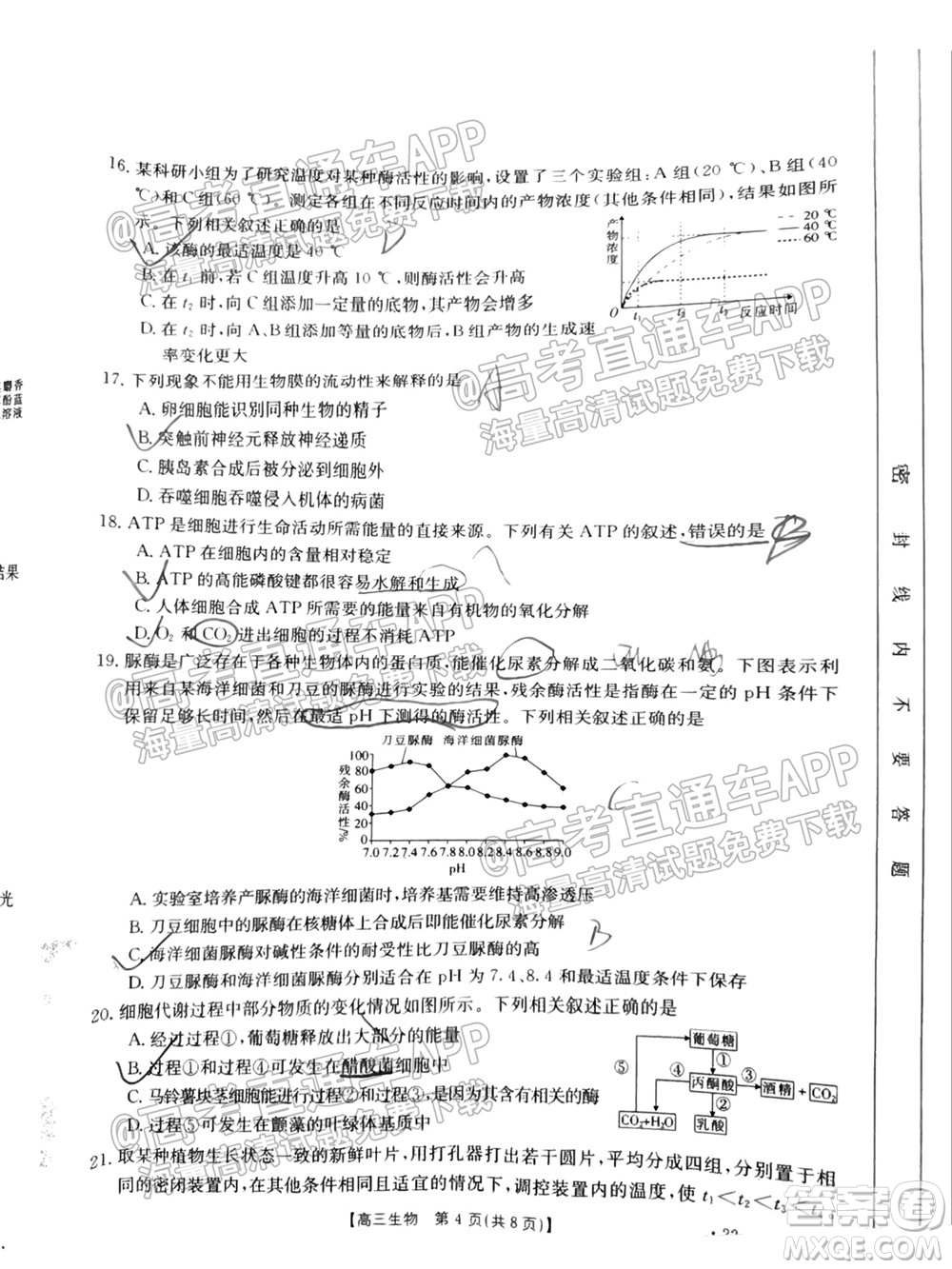 2022屆吉林金太陽高三9月聯(lián)考生物試題及答案