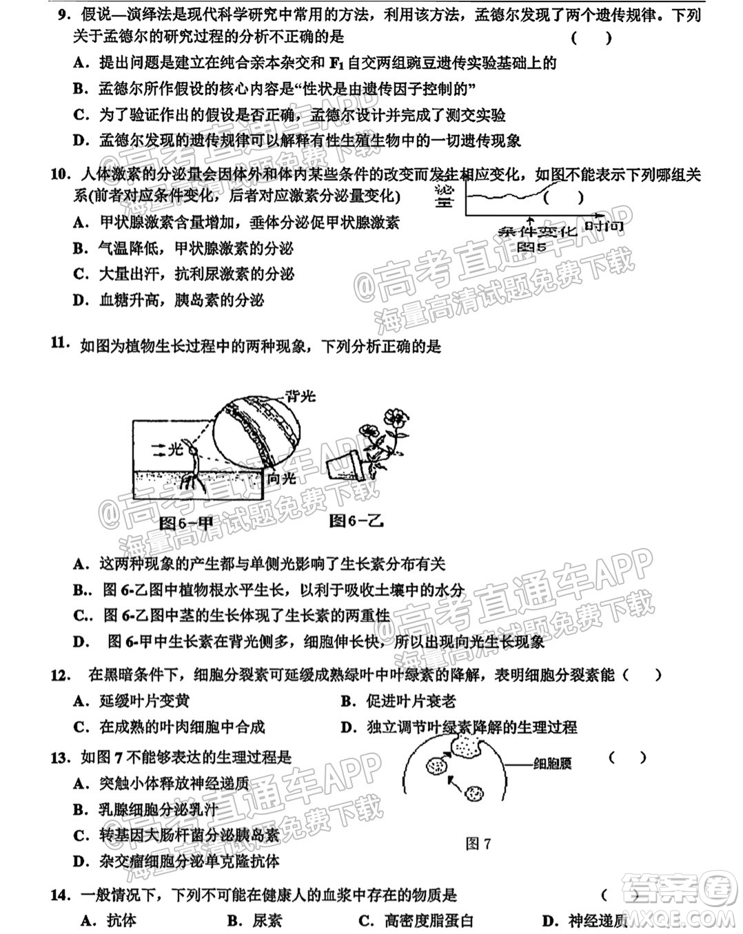 2022屆黃石高三9月質(zhì)檢生物試題及答案