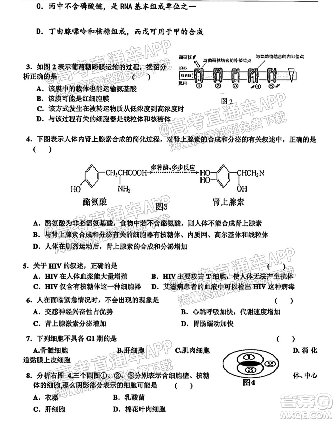 2022屆黃石高三9月質(zhì)檢生物試題及答案