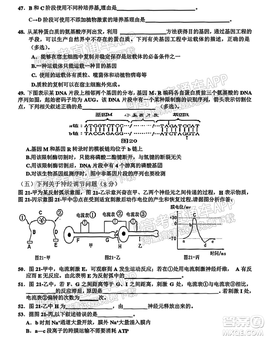 2022屆黃石高三9月質(zhì)檢生物試題及答案