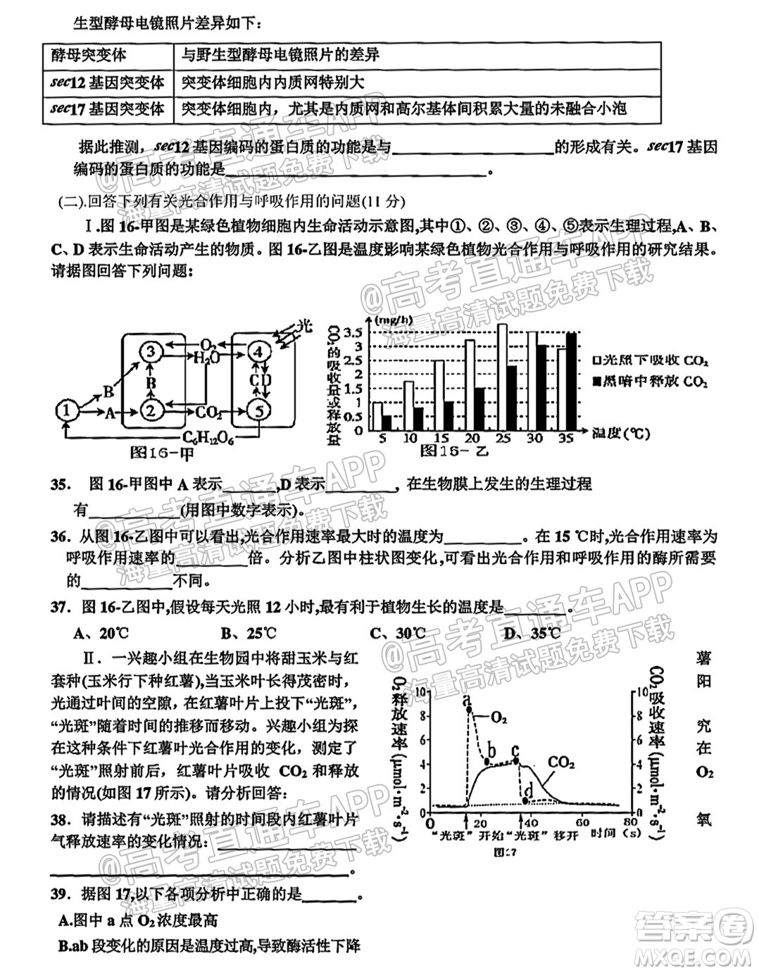 2022屆黃石高三9月質(zhì)檢生物試題及答案