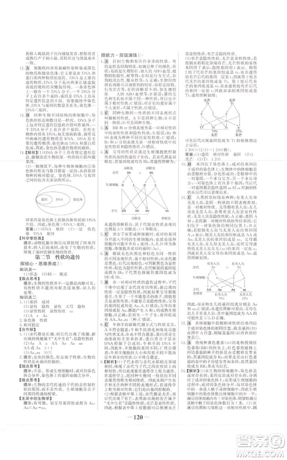 未來(lái)出版社2021世紀(jì)金榜金榜學(xué)案八年級(jí)上冊(cè)生物濟(jì)南版參考答案