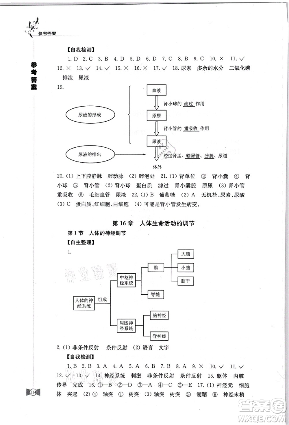 江蘇鳳凰教育出版社2021學習與評價八年級生物上冊蘇科版答案