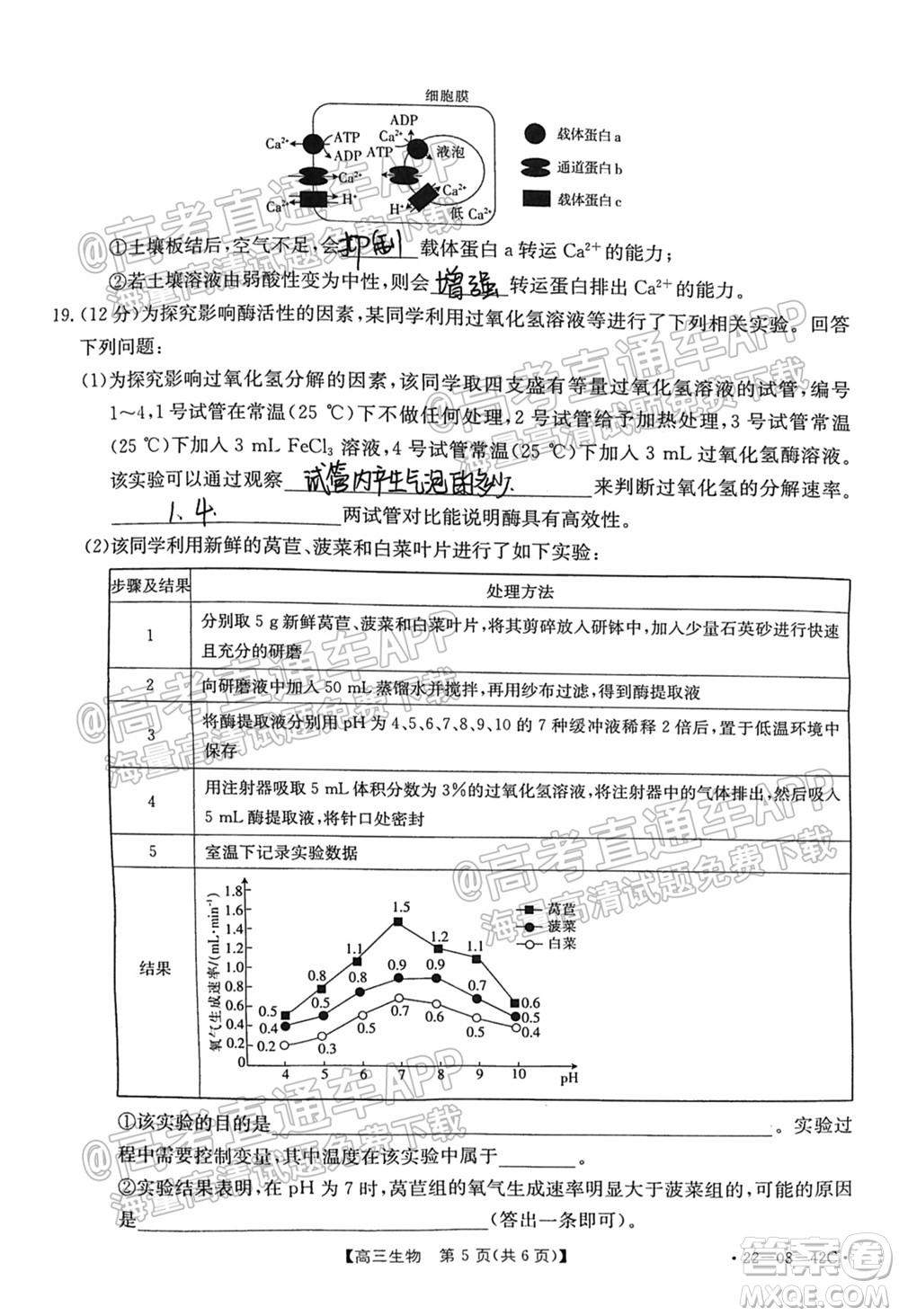 2022屆湖南金太陽高三9月聯(lián)考生物試卷及答案