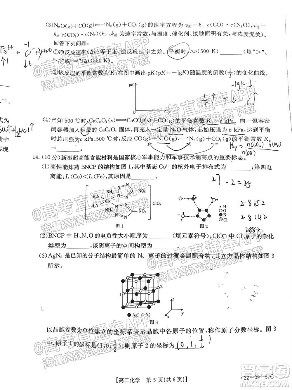 2022屆福建金太陽高三10月聯(lián)考化學(xué)試題及答案