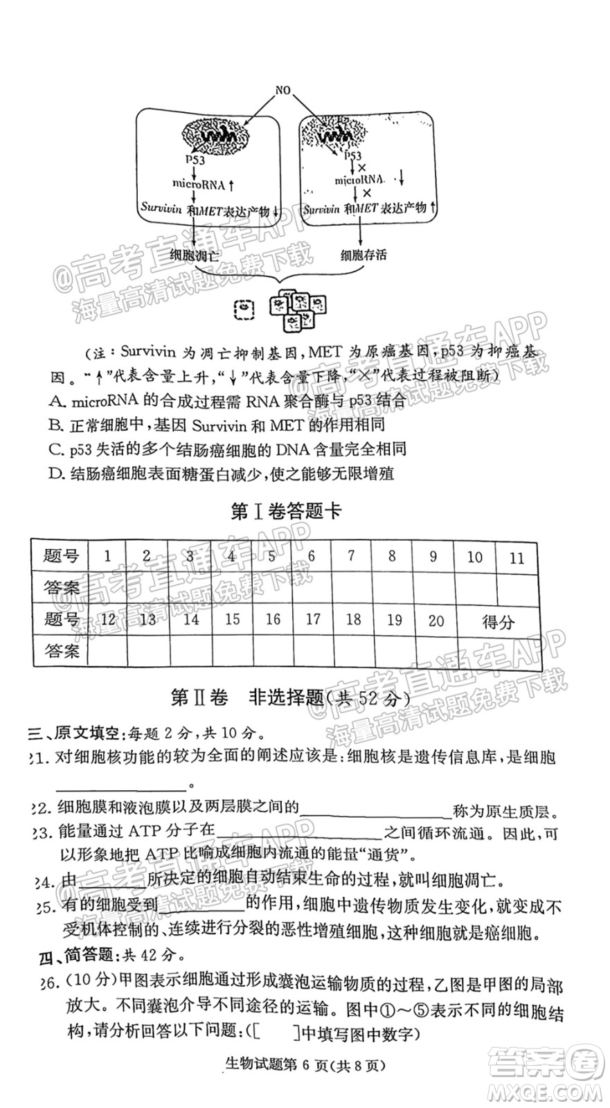 炎德英才聯(lián)考聯(lián)合體2021年高三10月聯(lián)考生物試題及答案