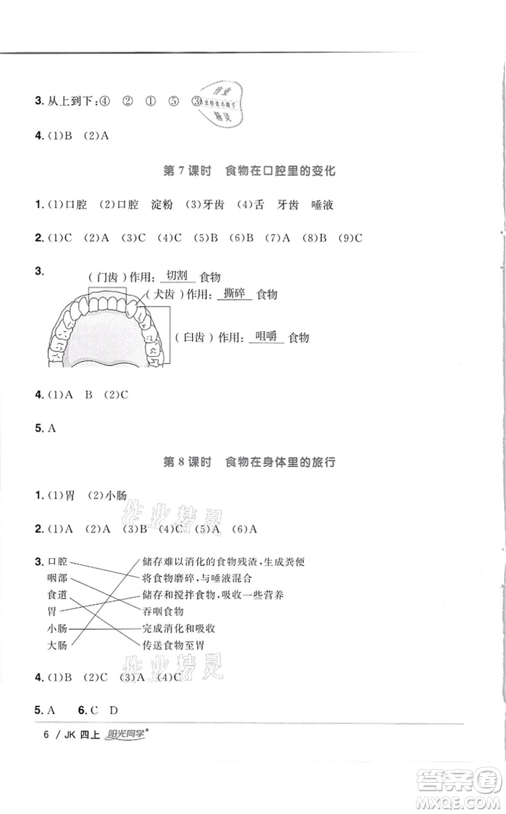 江西教育出版社2021陽光同學課時優(yōu)化作業(yè)四年級科學上冊JK教科版答案