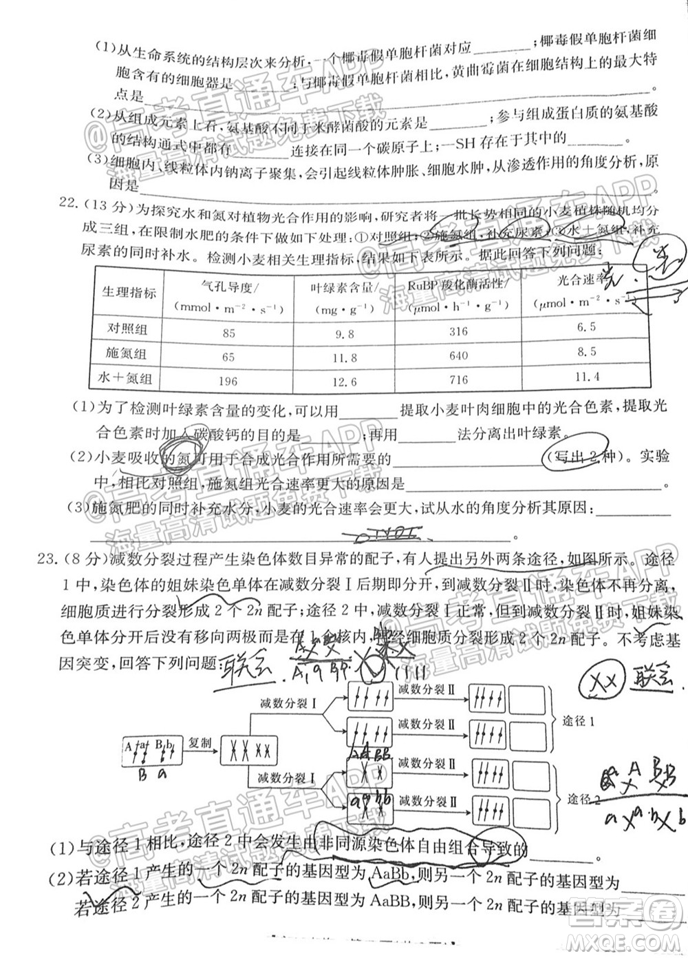 2022屆山東金太陽10月聯(lián)考高三第一次備考監(jiān)測聯(lián)合考試生物試題及答案