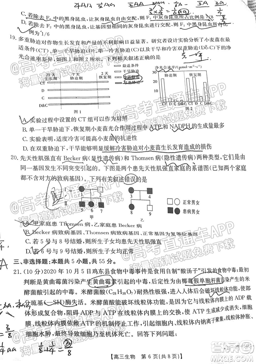 2022屆山東金太陽10月聯(lián)考高三第一次備考監(jiān)測聯(lián)合考試生物試題及答案