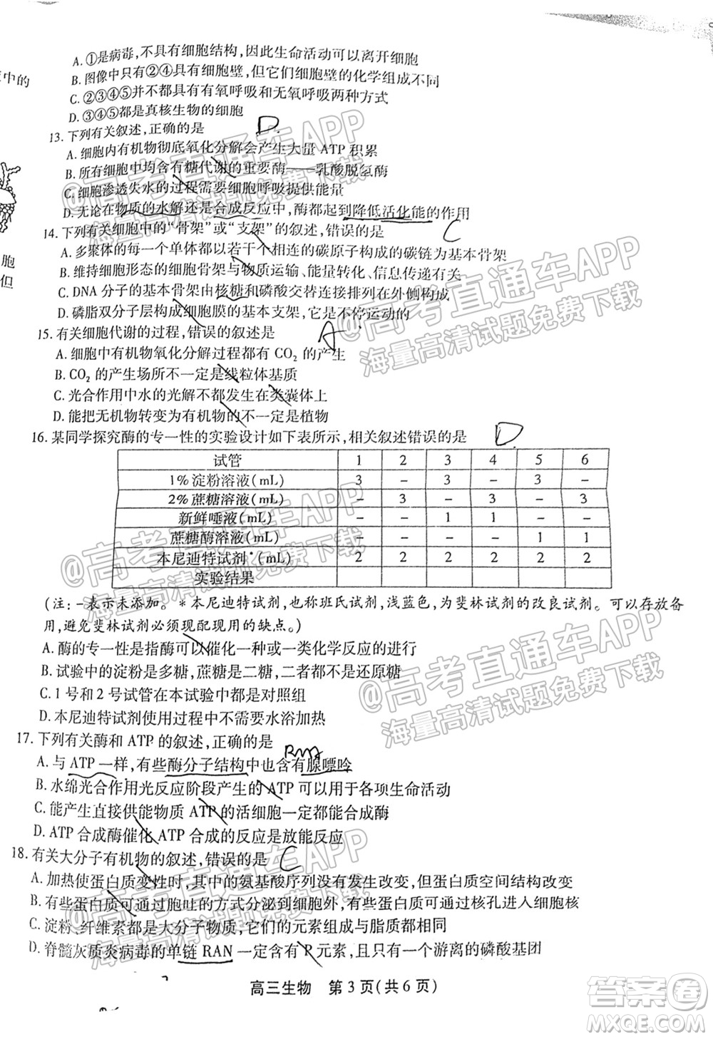 2022屆安徽鼎尖教育高三10月聯(lián)考生物試題及答案