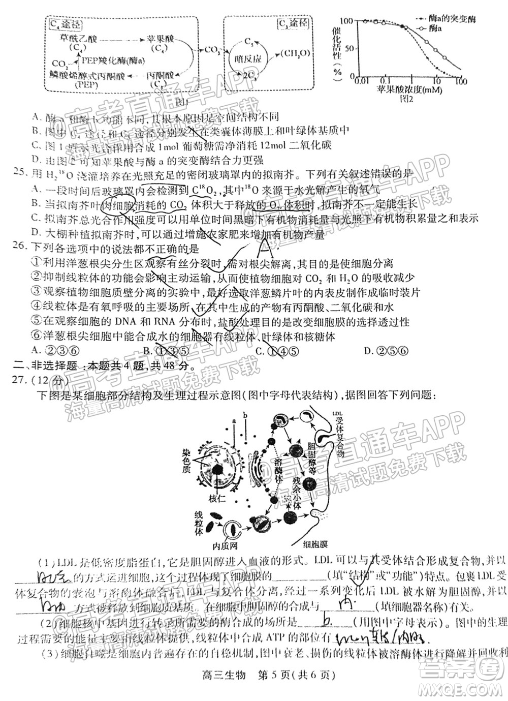 2022屆安徽鼎尖教育高三10月聯(lián)考生物試題及答案