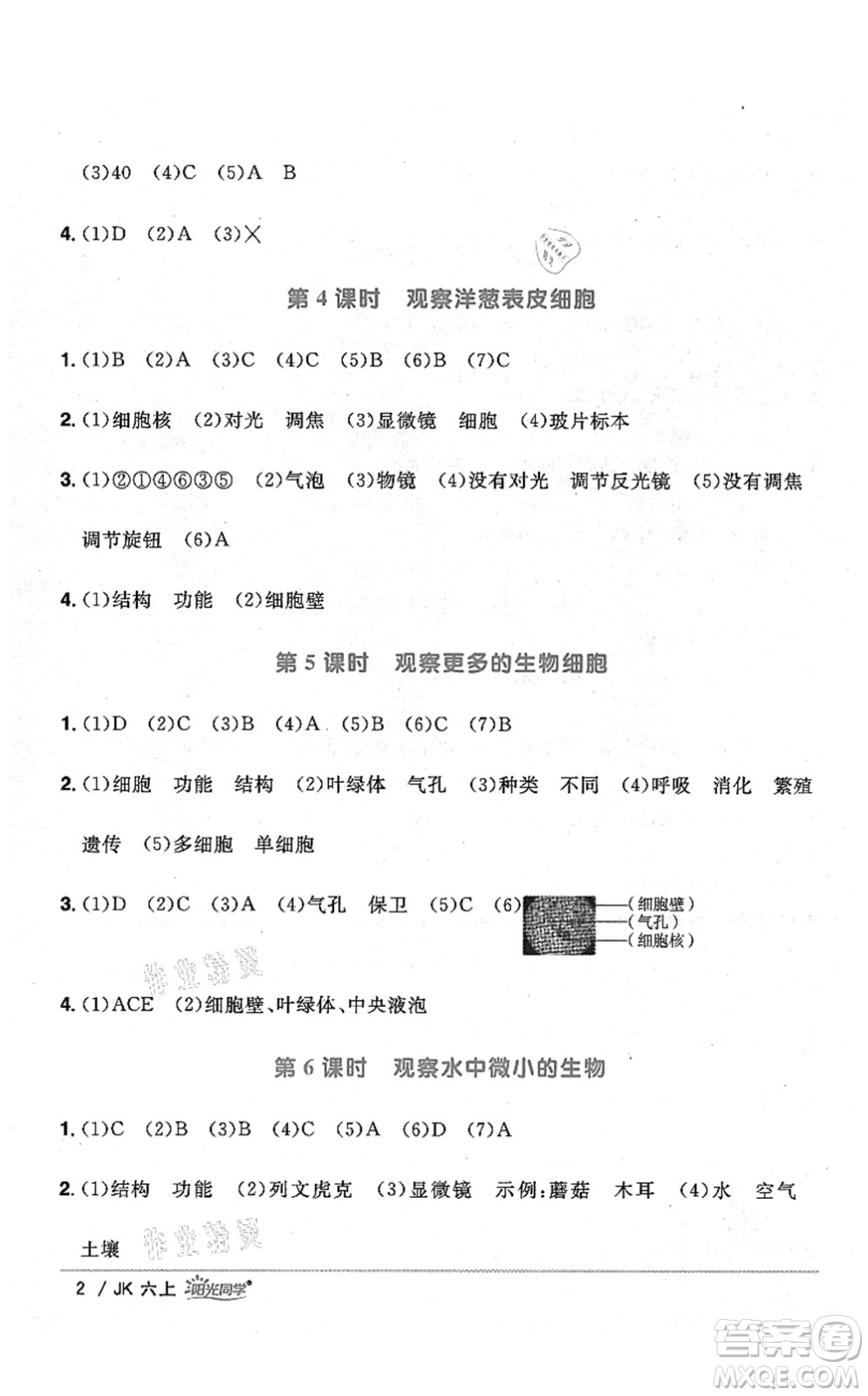 江西教育出版社2021陽光同學課時優(yōu)化作業(yè)六年級科學上冊JK教科版答案