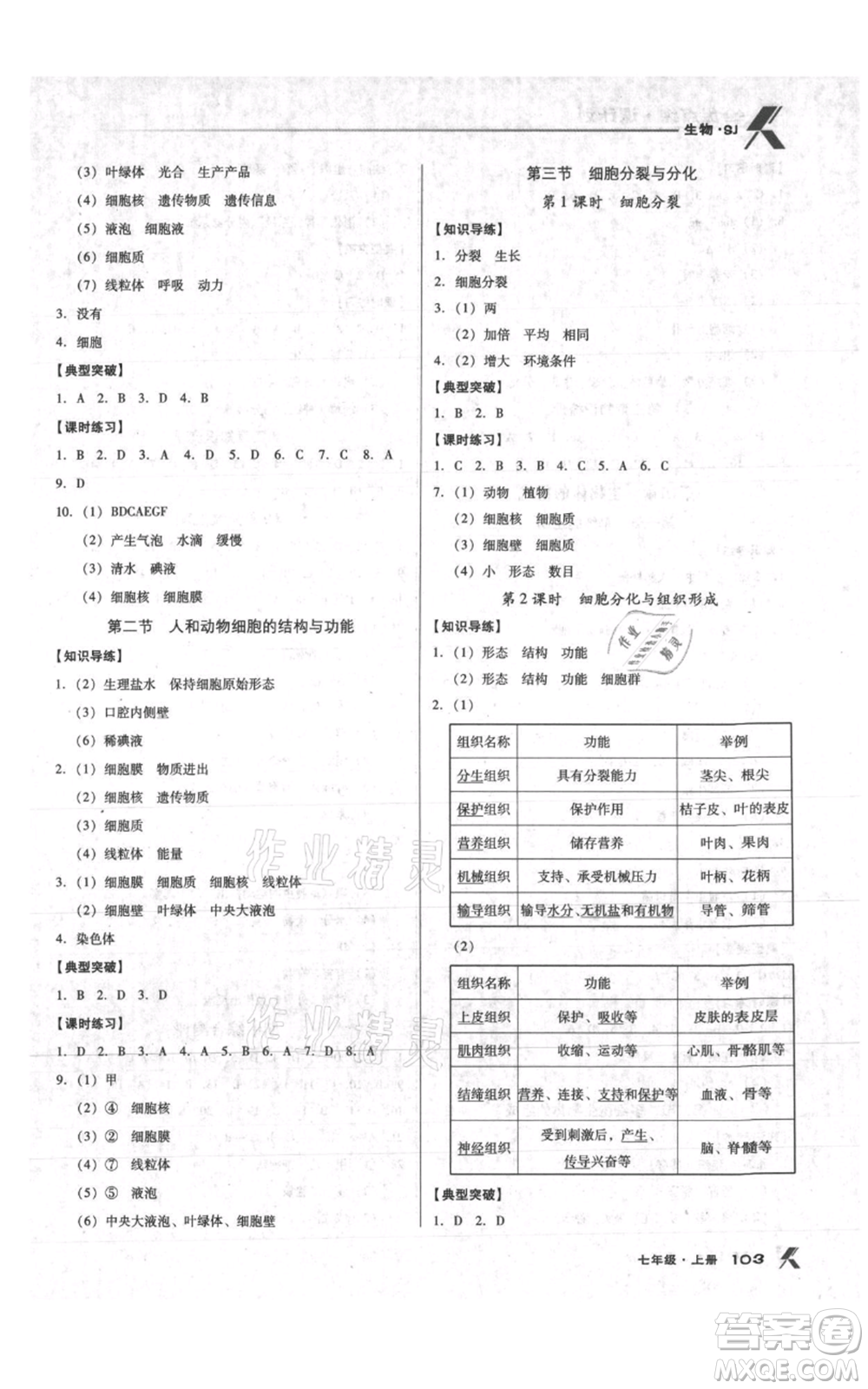 遼海出版社2021全優(yōu)點(diǎn)練課計(jì)劃七年級上冊生物蘇教版參考答案