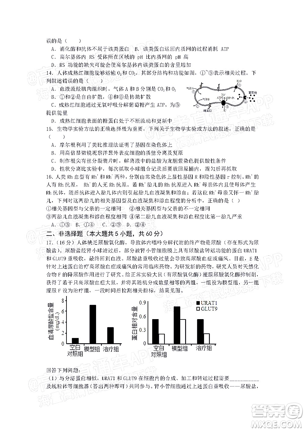 深圳市第七高級(jí)中學(xué)2022屆高三第一次月考試題生物答案