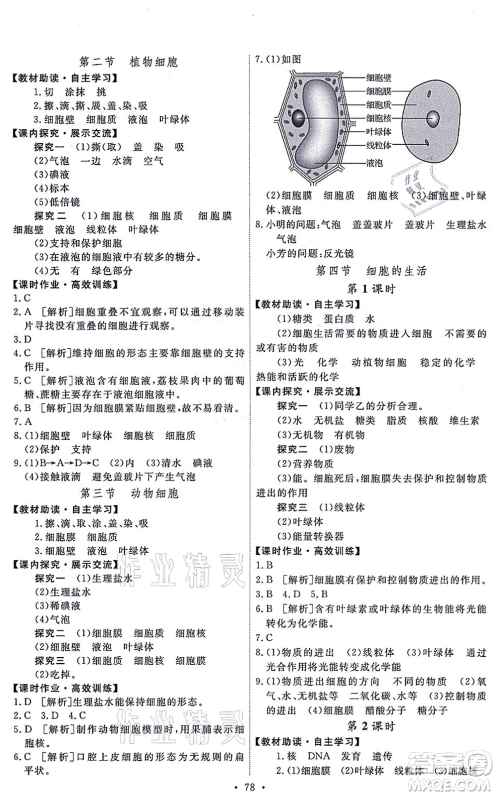 人民教育出版社2021能力培養(yǎng)與測(cè)試七年級(jí)生物上冊(cè)人教版湖南專版答案