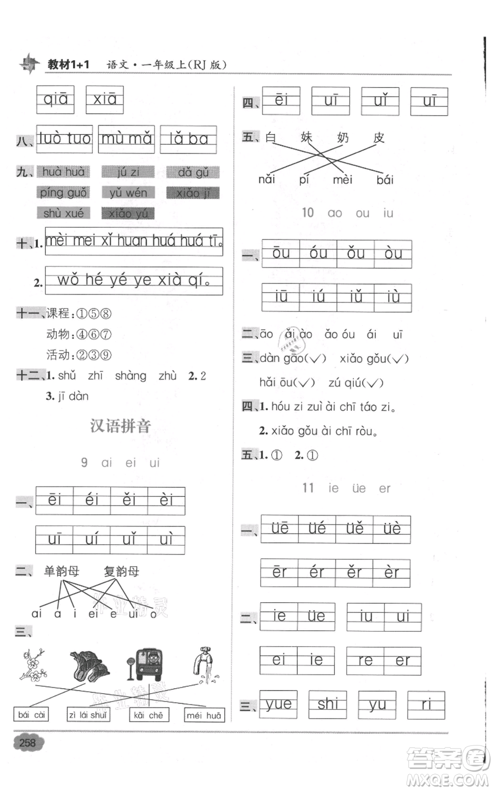 新疆青少年出版社2021教材1+1全解精練一年級上冊語文人教版參考答案