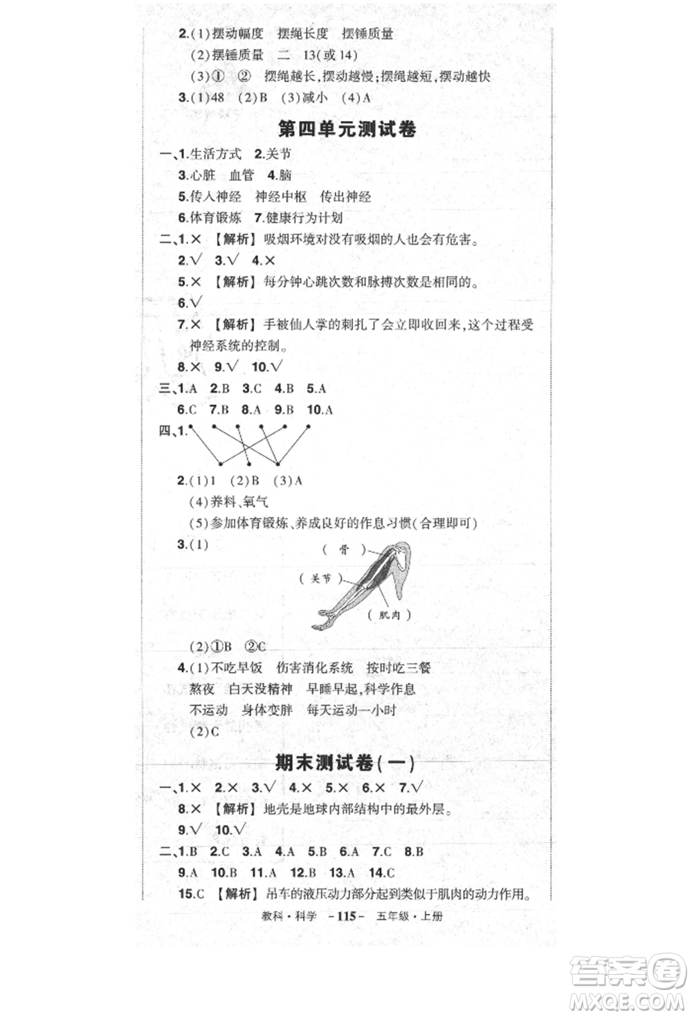 武漢出版社2021狀元成才路創(chuàng)優(yōu)作業(yè)100分五年級上冊科學(xué)教科版參考答案