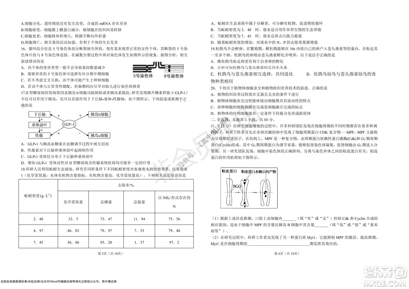 湖北省部分重點中學2022屆高三10月聯(lián)考生物試題及答案