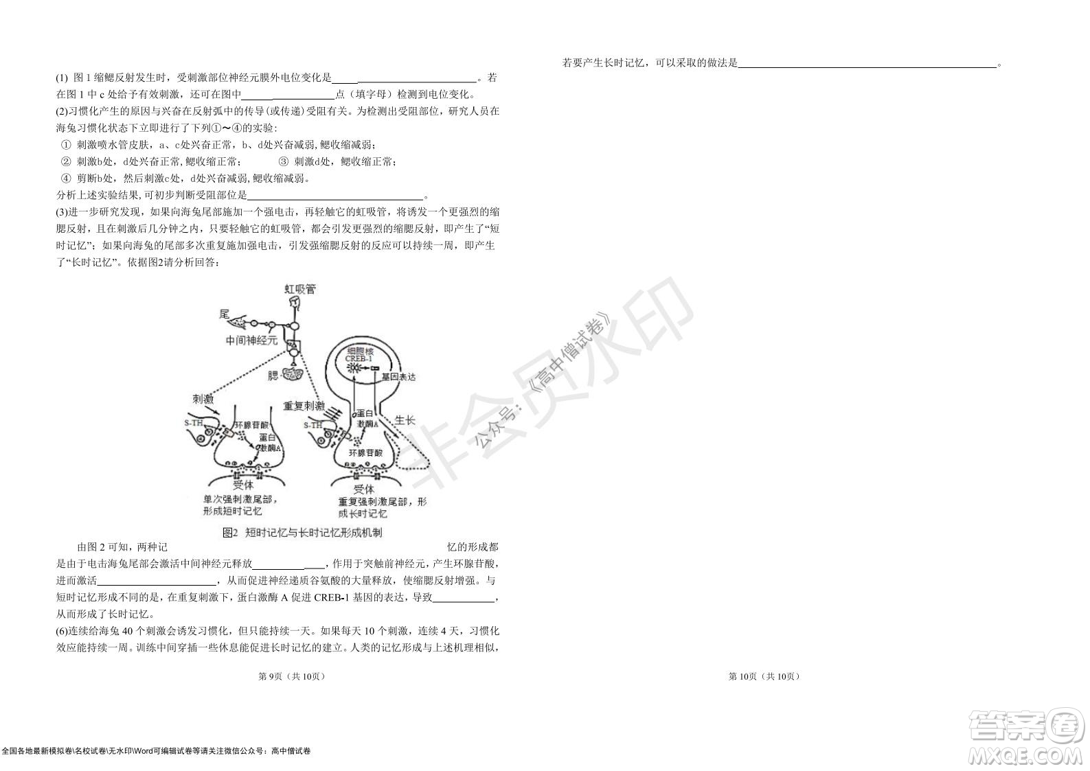 湖北省部分重點中學2022屆高三10月聯(lián)考生物試題及答案