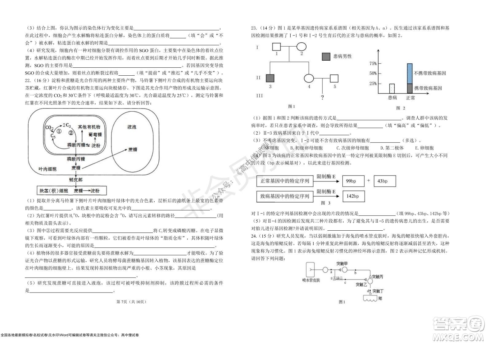 湖北省部分重點中學2022屆高三10月聯(lián)考生物試題及答案