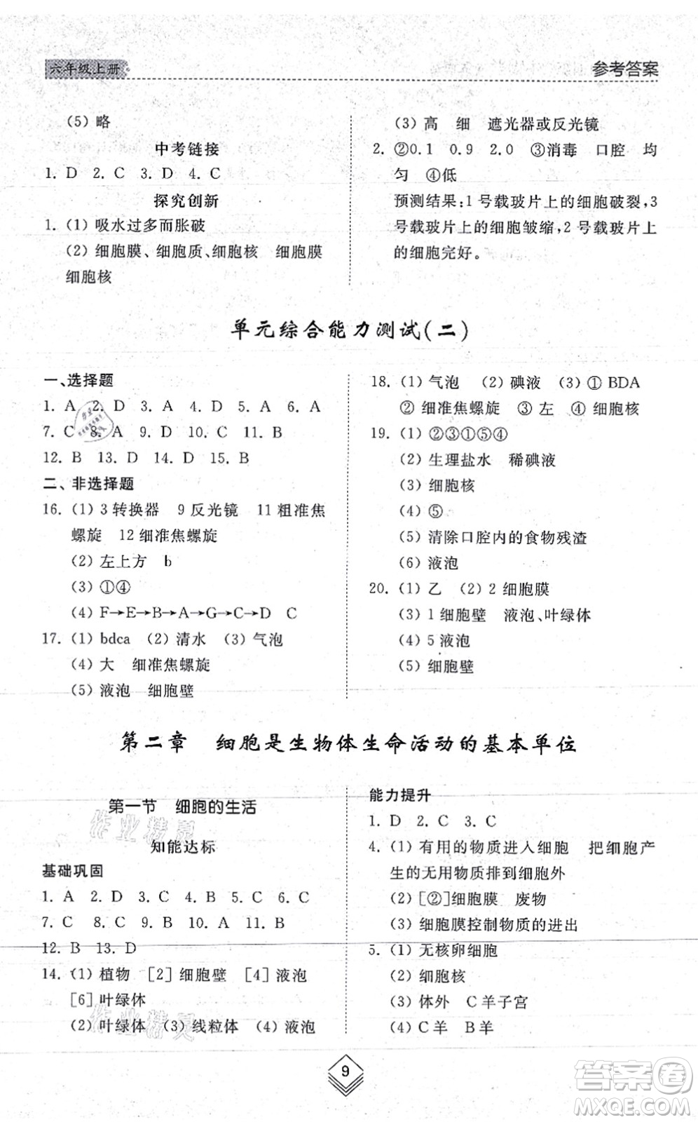 山東人民出版社2021綜合能力訓練六年級生物上冊五四制魯科版答案