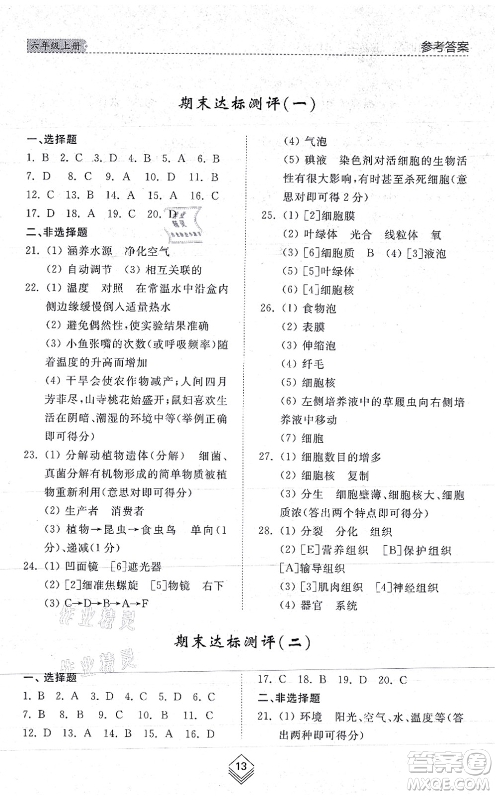 山東人民出版社2021綜合能力訓練六年級生物上冊五四制魯科版答案